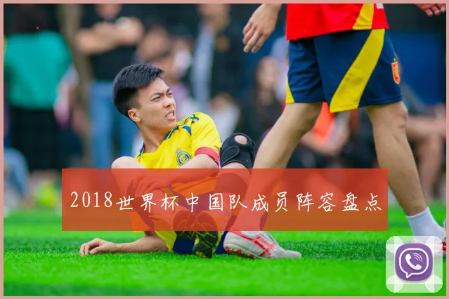 2018世界杯中国队成员阵容盘点